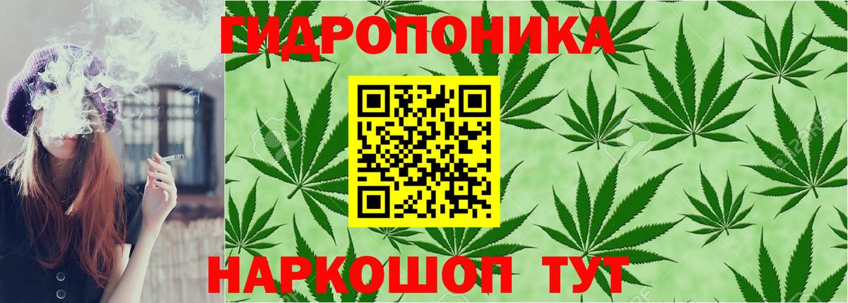 Конопля конопля  Марихуана ГИДРОПОН  Шишки марихуана AK-47  Вход с VPN  Брянск 